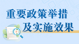 重要政策舉措及實(shí)施效果