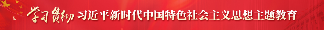 學(xué)習(xí)貫徹習(xí)近平新時(shí)代中國特色社會主義思想主題教育