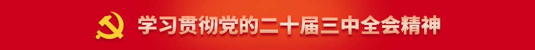 學(xué)習(xí)貫徹黨的二十屆三中全會精神